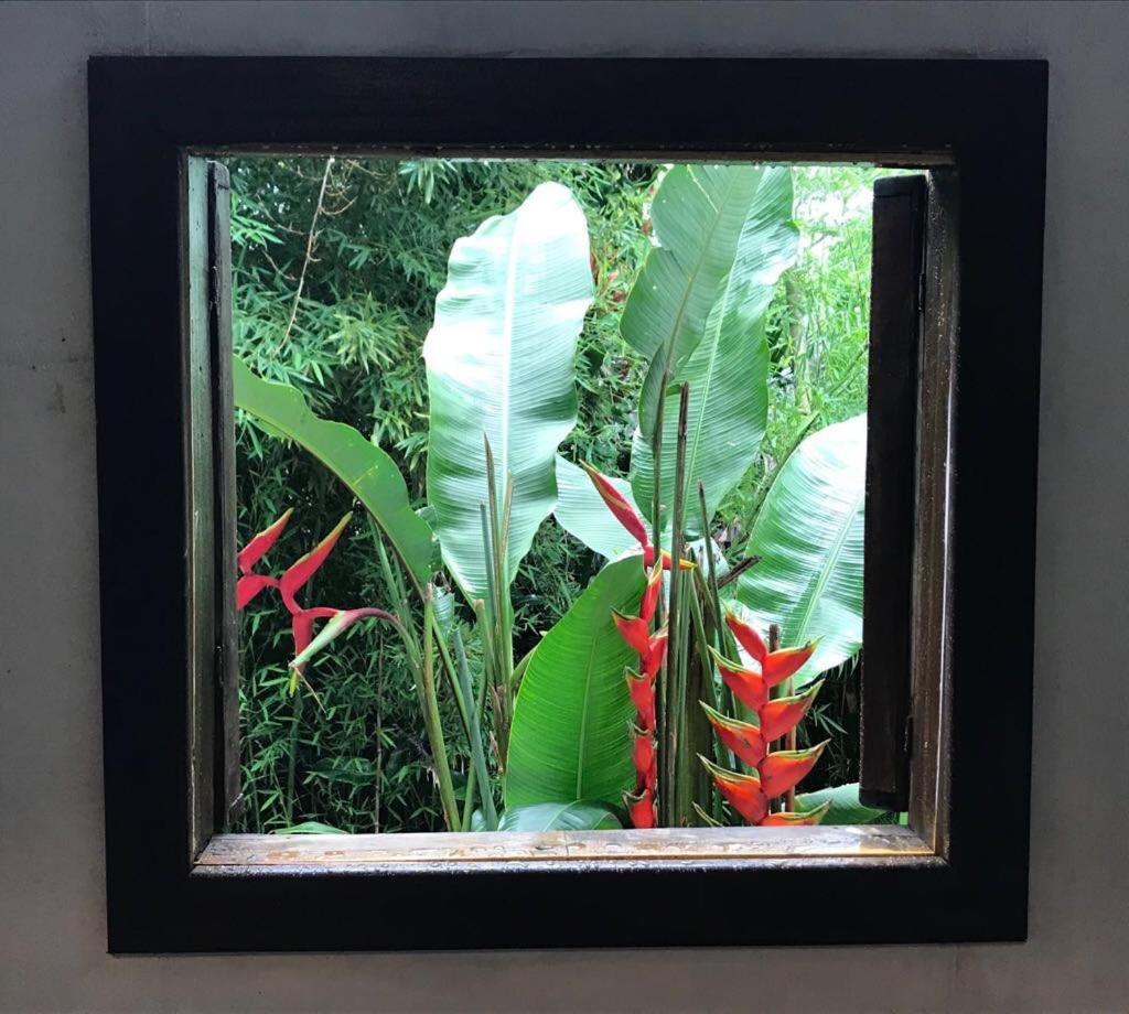 Pousada Rainforest House - Ilha Grande Екстер'єр фото