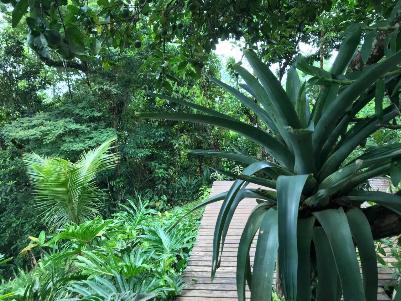 Pousada Rainforest House - Ilha Grande Екстер'єр фото