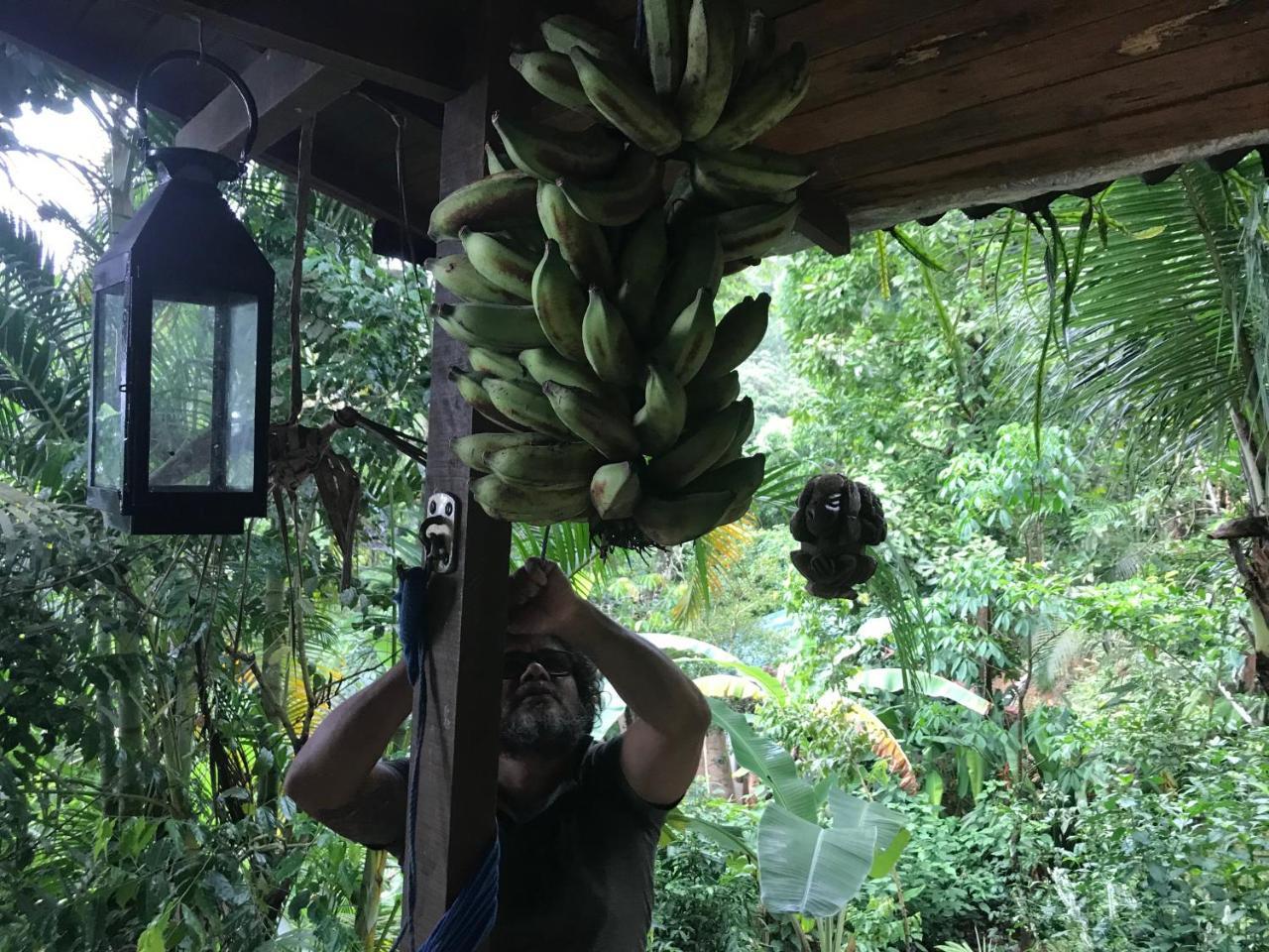 Pousada Rainforest House - Ilha Grande Екстер'єр фото